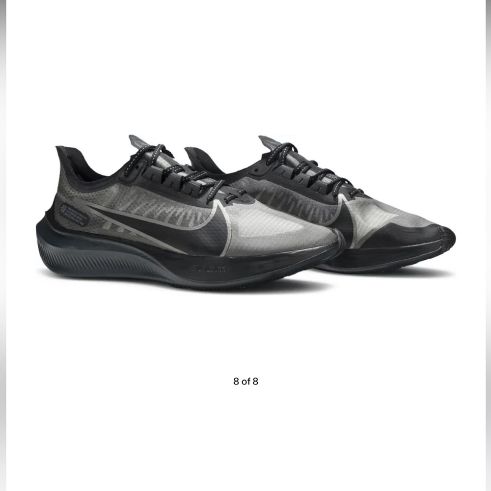 Nike zoom Pegasus